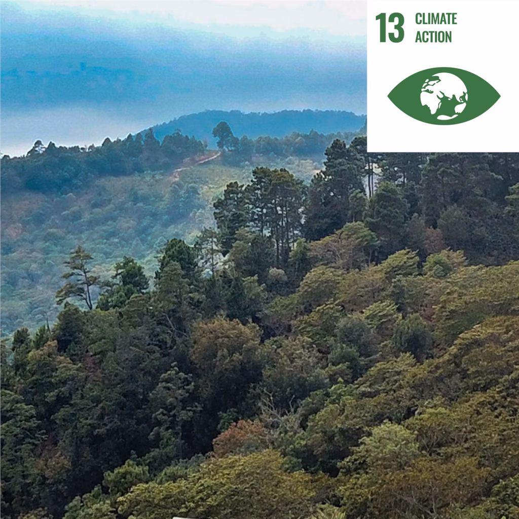 Landschaftsaufnahme mit Wald und Berghängen in leichtem Nebel